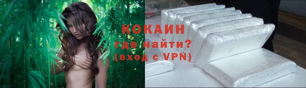 мяу мяу мука Алзамай