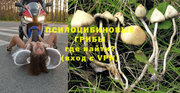 сатива Покров