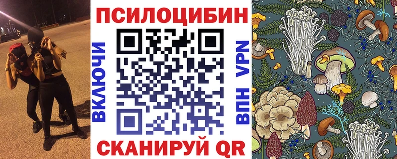 Галлюциногенные грибы MAGIC MUSHROOMS  Звенигово 